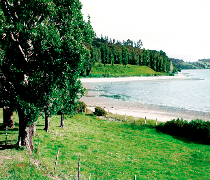 Áreas comunes Costa Rilán